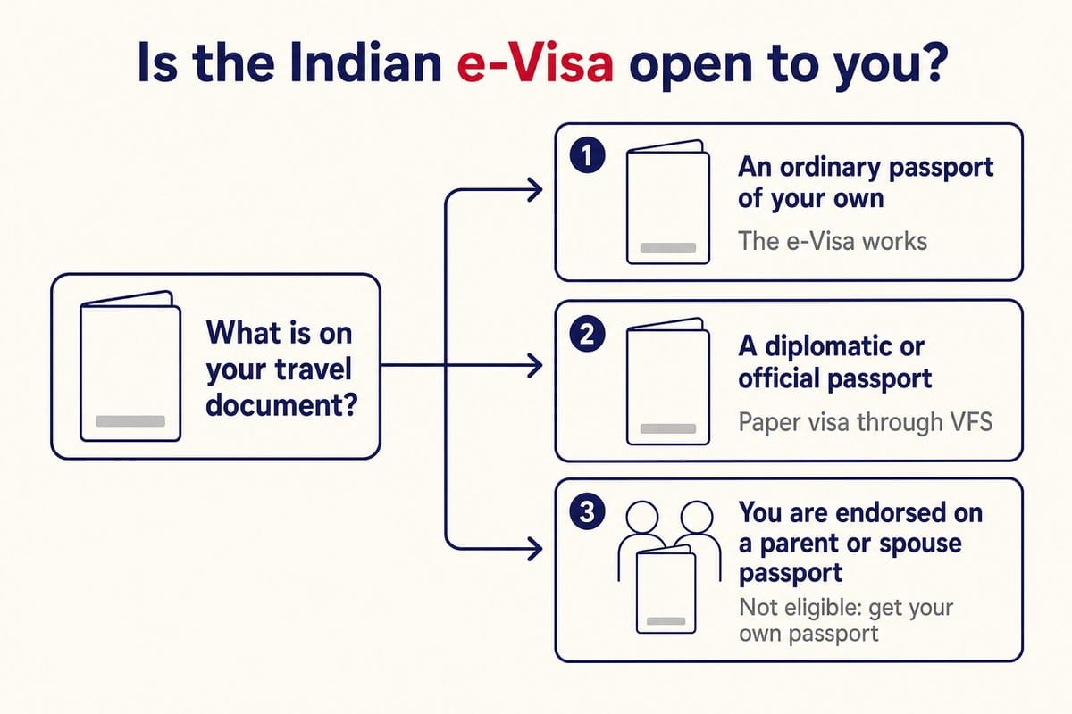 Is the Indian e-Visa open to you?
